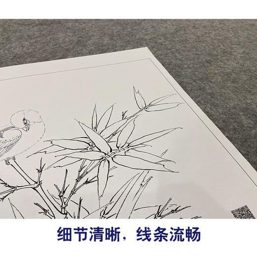 【大彩图】李晓明工笔画白描底稿斗方小品《临宋竹雀图》临摹勾线花鸟线稿K071 商品图4