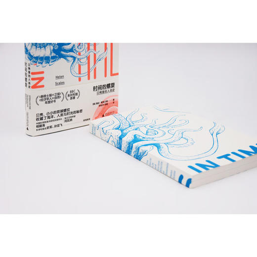 时间的螺旋：贝壳里的人类史 商品图2
