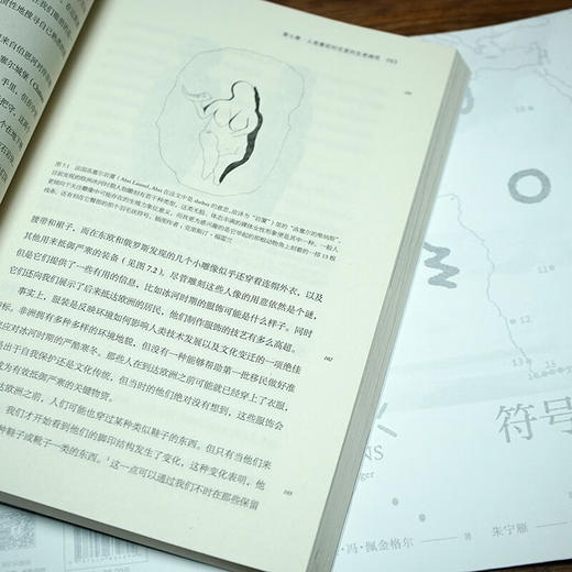 符号侦探：解密人类最古老的象征符号 (加）吉纳维芙·冯·佩金格尔 著 商品图6