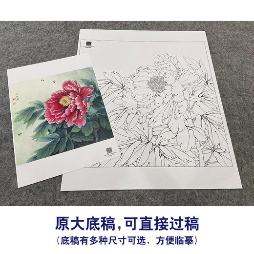 【大彩图】李晓明工笔画白描底稿斗方小品《葛巾紫》牡丹临摹勾线花鸟线稿K040 商品图1