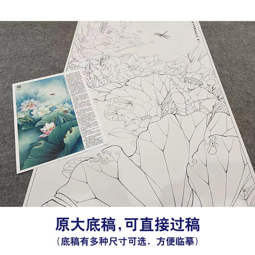 【大彩图】李晓明工笔画白描底稿《清气满乾坤》荷花临摹勾线花鸟线稿KA18 商品图1