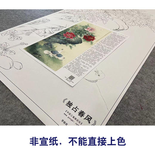 【大彩图】李晓明工笔画白描底稿《独占春风》牡丹鸽子临摹勾线花鸟线稿KA16 商品图2