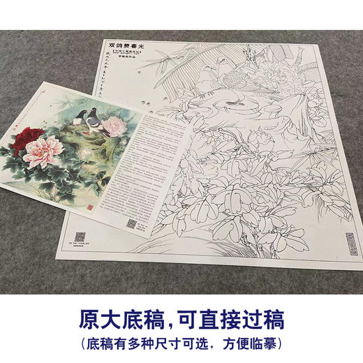 【大彩图】李晓明工笔画白描底稿斗方小品《双鸽赞春光》牡丹鸽子临摹勾线花鸟线稿KA08 商品图1