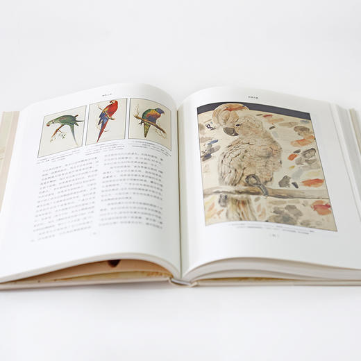 【特价】博物之美 爱德华·李尔的博物艺术传奇 商品图3