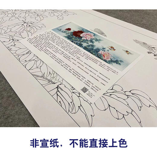 【大彩图】李晓明横幅工笔画白描底稿《春来韶华相思舞》牡丹临摹勾线花鸟线稿KA19 商品图2