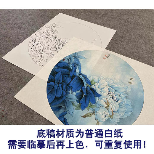 【大彩图】李晓明工笔画白描底稿圆形小品《凤丹白》牡丹蜜蜂临摹勾线花鸟线稿KA01 商品图3