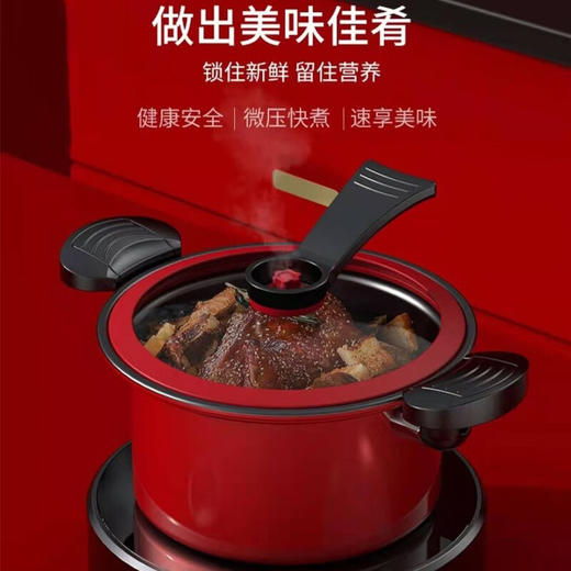 森仕达（SENSHIDA） 森仕达森诺菲微压锅3.5L  SSD-156（二选一备注颜色，未备注颜色随机发货） 商品图3