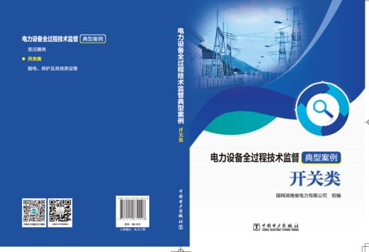 电力设备全过程技术监督典型案例 开关类 商品图2
