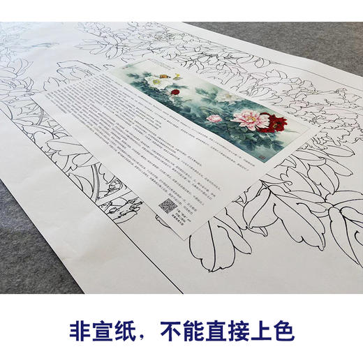 【大彩图】李晓明横幅工笔画白描底稿《名花倾国》牡丹临摹勾线花鸟线稿KA24 商品图2