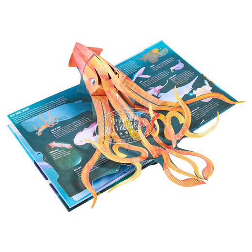 【中商原版】立体书 牙齿 触手和尾鳍 一个狂野的海洋 英文原版 A Wild Ocean Pop Up Matthew Reinhart 商品图4