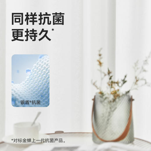 【三生有杏纱】金蝉柔光透影杏花纹窗纱 商品图10