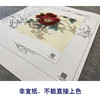 【大彩图】李晓明工笔画白描底稿斗方小品《暖香醉艳》牡丹临摹勾线花鸟线稿K044 商品缩略图2