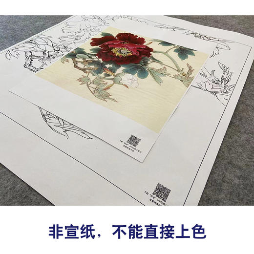 【大彩图】李晓明工笔画白描底稿斗方小品《暖香醉艳》牡丹临摹勾线花鸟线稿K044 商品图2