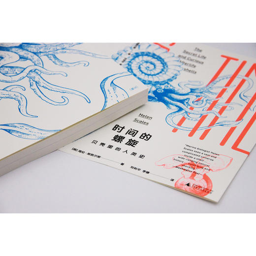 时间的螺旋：贝壳里的人类史 商品图1