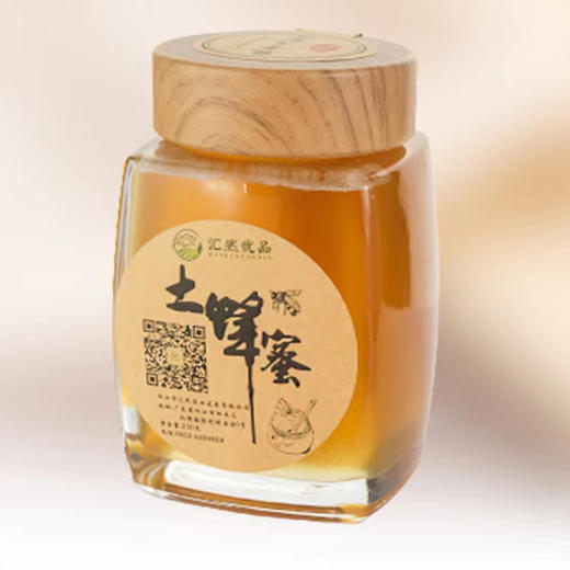 汇然优品·纯正土蜂蜜·农家自产原蜜 商品图0