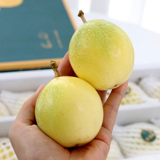 【预售】响鲜蜂蜜百香果黄金百香果钦蜜9号蜂蜜百香果送人礼盒装   3-3.5斤（发货时间较长，不能等待的慎拍） 商品图5