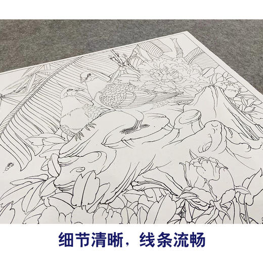 【大彩图】李晓明工笔画白描底稿斗方小品《双鸽赞春光》牡丹鸽子临摹勾线花鸟线稿KA08 商品图4