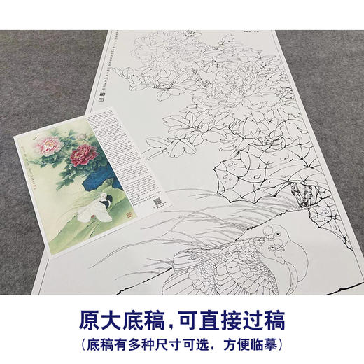 【大彩图】李晓明工笔画白描底稿《富贵天香图》牡丹鸽子临摹勾线花鸟线稿KA13 商品图1