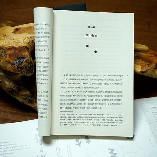 符号侦探：解密人类最古老的象征符号 (加）吉纳维芙·冯·佩金格尔 著 商品图4