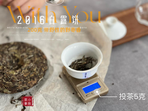 【7年来首发】2016白露饼，太姥山原仓储存，带着野性植物气息的枣香，独树一帜！ 商品图8