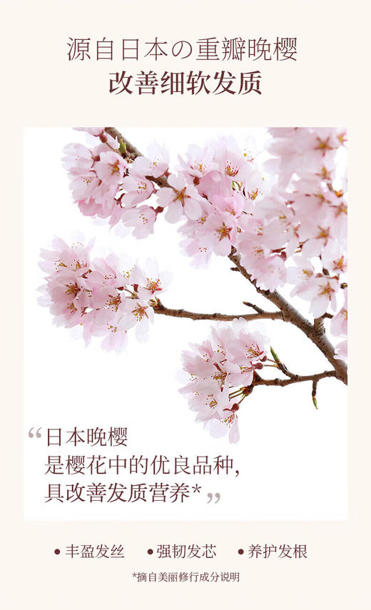 浅香洗浴套餐（百合沐浴露750g*2瓶+扁柏洗发水750g*1瓶） 商品图4