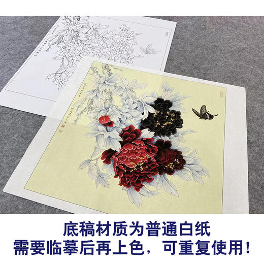 【大彩图】李晓明工笔画白描底稿斗方小品《和风花欲舞》牡丹临摹勾线花鸟线稿K041 商品图3