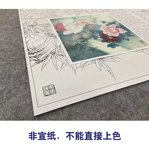 【大彩图】李晓明工笔画白描底稿斗方小品《独舞花间》牡丹鹦鹉临摹勾线花鸟线稿KA07 商品图2