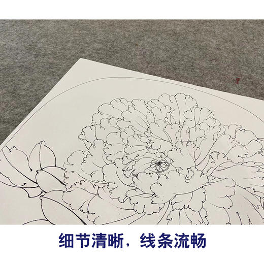 【大彩图】李晓明工笔画白描底稿圆形小品《豆绿》牡丹临摹勾线花鸟线稿KA05 商品图4