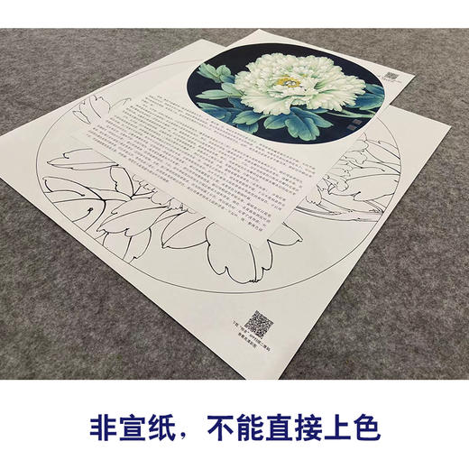 【大彩图】李晓明工笔画白描底稿圆形小品《豆绿》牡丹临摹勾线花鸟线稿KA05 商品图2