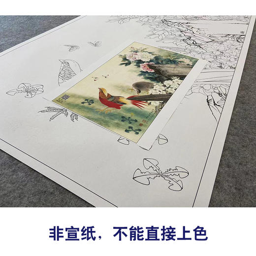 【大彩图】李晓明工笔画白描底稿《锦绣前程图》牡丹锦鸡临摹勾线花鸟线稿K049 商品图2