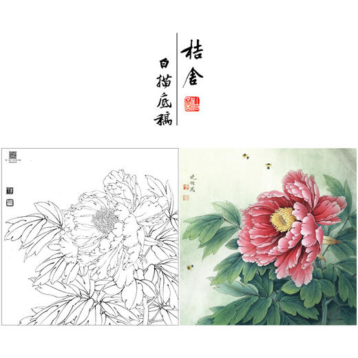 【大彩图】李晓明工笔画白描底稿斗方小品《葛巾紫》牡丹临摹勾线花鸟线稿K040 商品图0