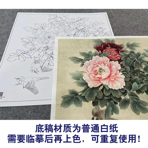 【大彩图】李晓明工笔画白描底稿斗方小品《比翼白头图》牡丹临摹勾线花鸟线稿K043 商品图3