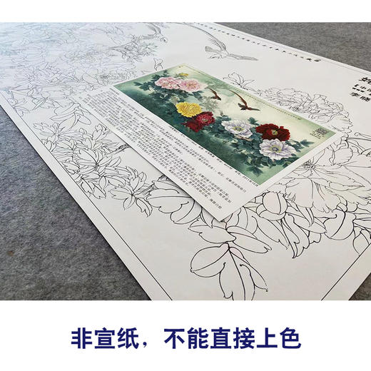 【大彩图】李晓明横幅工笔画白描底稿《姹紫嫣红》牡丹临摹勾线花鸟线稿KA27 商品图2