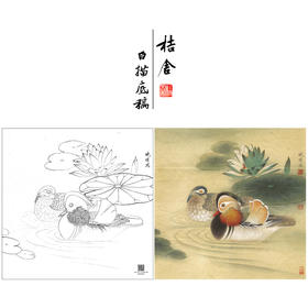 【大彩图】李晓明工笔画白描底稿斗方小品《睡莲鸳鸯》荷花临摹勾线花鸟线稿K109