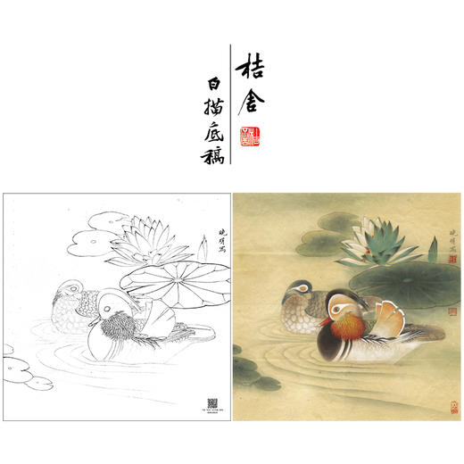【大彩图】李晓明工笔画白描底稿斗方小品《睡莲鸳鸯》荷花临摹勾线花鸟线稿K109 商品图0