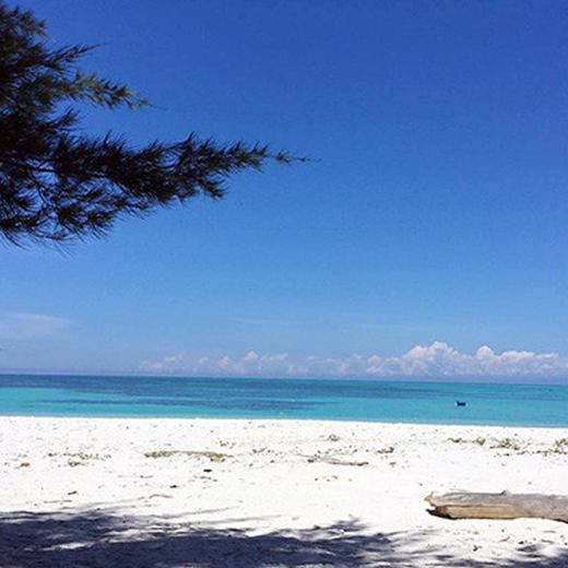 海洋 沙巴环滩岛浮潜一日游 GoPro水下免费摄影 商品图3