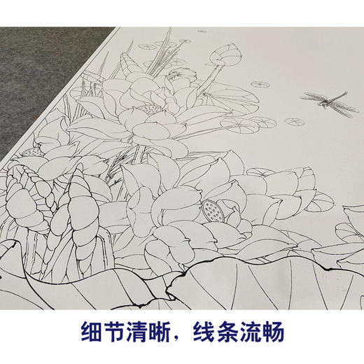 【大彩图】李晓明工笔画白描底稿《清气满乾坤》荷花临摹勾线花鸟线稿KA18 商品图4