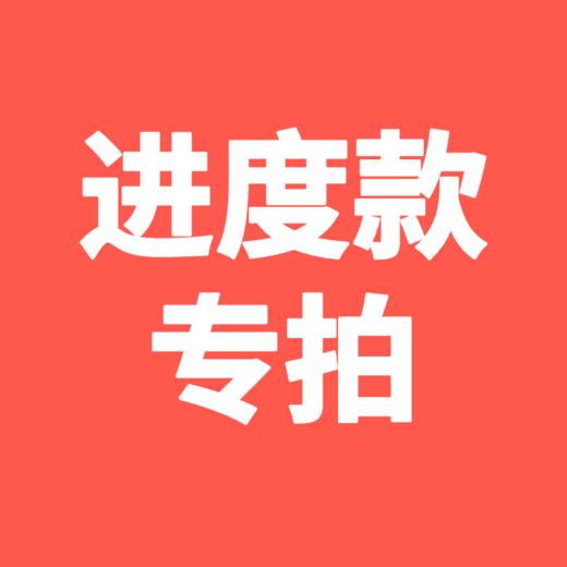 东莞华阳花园第一笔进度款 商品图0