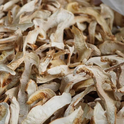 藏地山珍｜雅江松茸干片 纯正干晒松茸制成  精品干货 商品图3