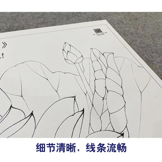 【大彩图】李晓明工笔画白描底稿《若霞》红荷花临摹勾线花鸟线稿K092 商品图4