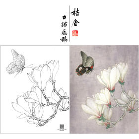【大彩图】李晓明工笔画白描底稿《玉兰花蝴蝶》临摹勾线花鸟线稿K104