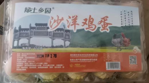 绿土乡园沙洋鸡蛋15枚/盒（650g） 商品图0