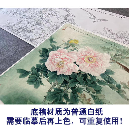 【大彩图】李晓明横幅工笔画白描底稿《姹紫嫣红》牡丹临摹勾线花鸟线稿KA27 商品图3