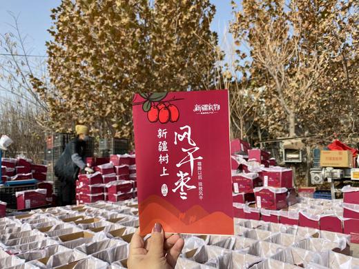 正宗新疆若羌灰枣 自然干核小皮薄肉甜当季无添加整箱 商品图4