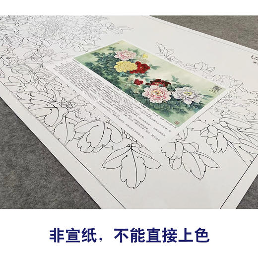 【大彩图】李晓明横幅工笔画白描底稿《春色满园》牡丹临摹勾线花鸟线稿KA20 商品图2