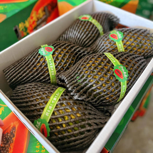 三亚红心牛奶木瓜 商品图10