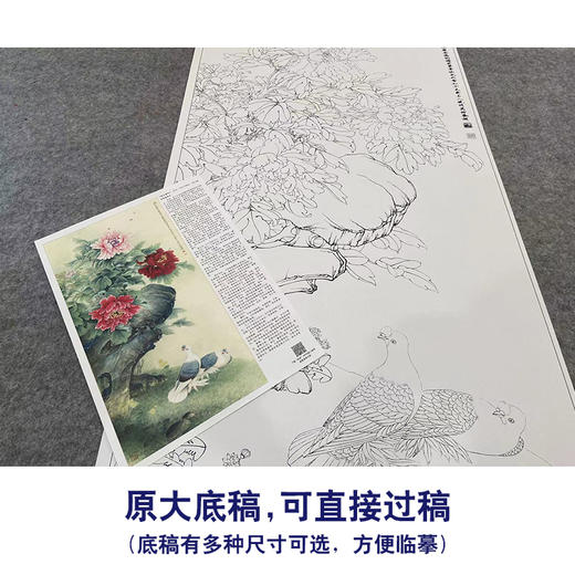 【大彩图】李晓明工笔画白描底稿《独占春风》牡丹鸽子临摹勾线花鸟线稿KA16 商品图1