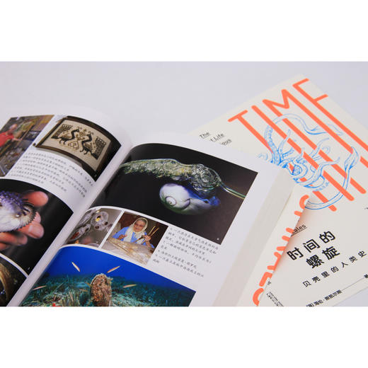 时间的螺旋：贝壳里的人类史 商品图4