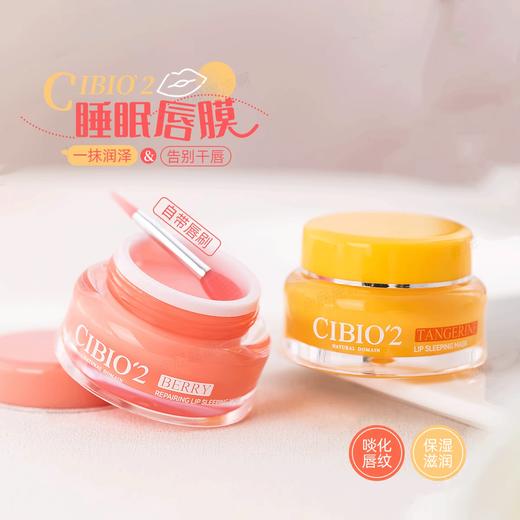 Cibio’2 夜间保湿修护唇膜 15g 商品图0