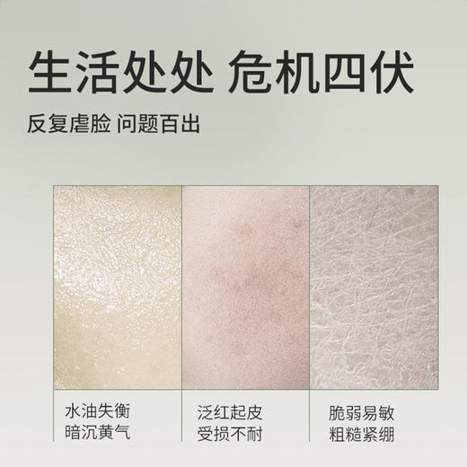 KJ 日本 复活草面膜 苾莱宝精粹润泽修护面膜  175g 商品图1